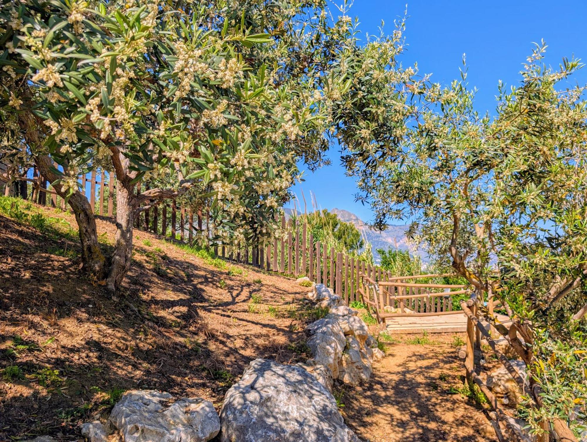 Ci Vulia B&B - Sicilia Sea, Pool, Bbq, Tv, Wi-Fi Alcamo Marina Dış mekan fotoğraf